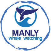 MANLY WHALE WATCHING